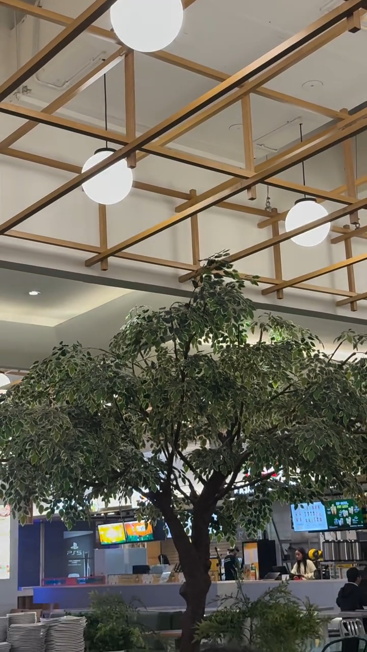 Tikus di dining area restaurant di mall puri